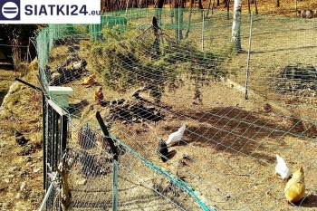 Siatki Oleśnica - Siatka na woliery - zabezpieczenia ptaków w hodowli dla powiatu oleśnickiego
